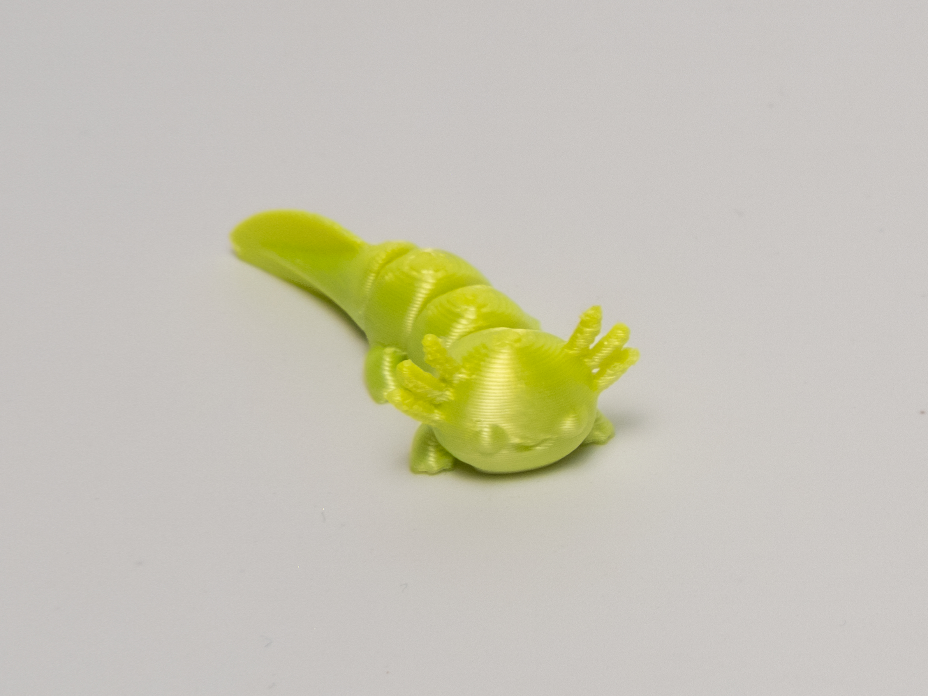 Miniatura 1 do modelo 3D Mini Axolotl