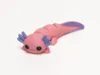 Multicolor Axolotl