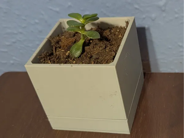 Pot de fleurs cubique avec coupelle