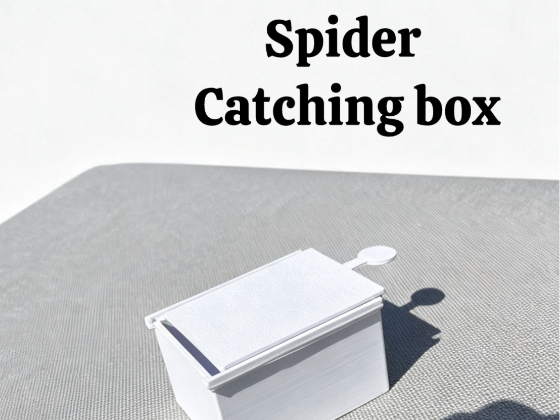 Spider Catcher Box