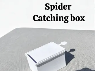 Spider Catcher Box