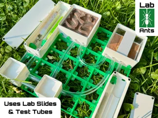 Lab Ants: A Modular Ant Formicarium