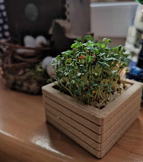 https://makerworld.bblmw.com/makerworld/model/USa3d9bf4f93a81c/design/2024-03-23_05d76903b1165.jpg