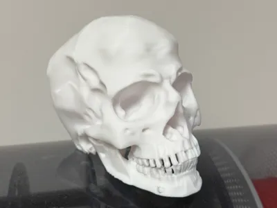 Human skull Hallowen