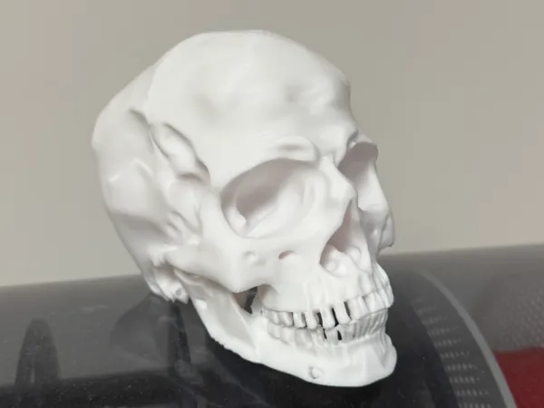 https://makerworld.bblmw.com/makerworld/model/USa3d9f5466502e2/design/2025-09-22_2eaf3ffbde39f.jpg
