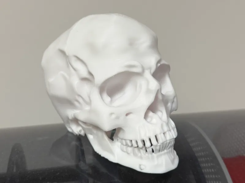 Human skull Hallowen