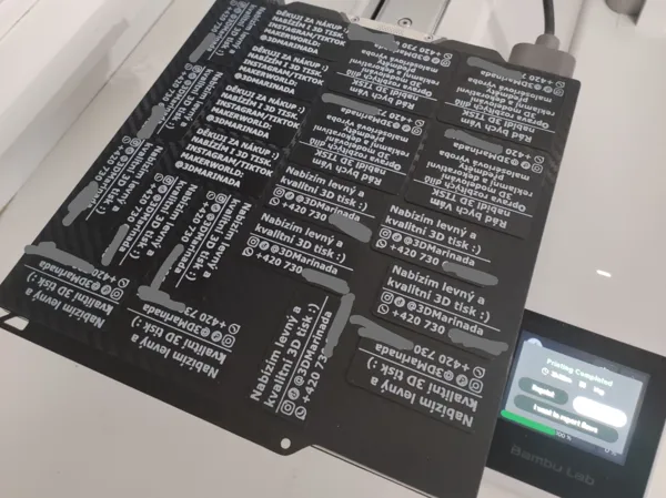 https://makerworld.bblmw.com/makerworld/model/USa3dd83a04bdd43/design/2024-12-08_bb060b450a719.jpeg