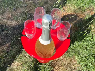 Portable Champagne/Prosecco/wine holder & glasses