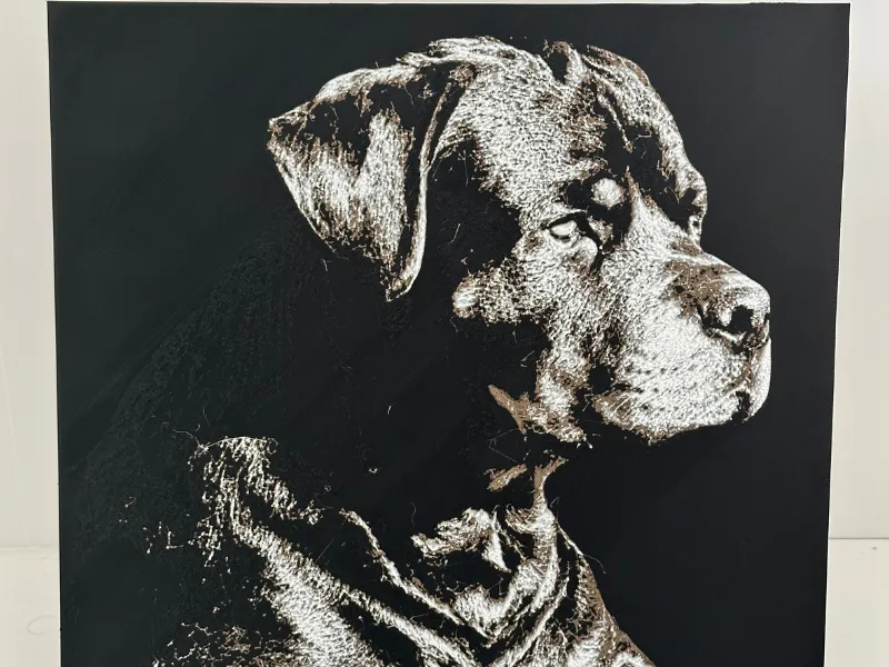 Rottweiler Lienzo Croma Macho