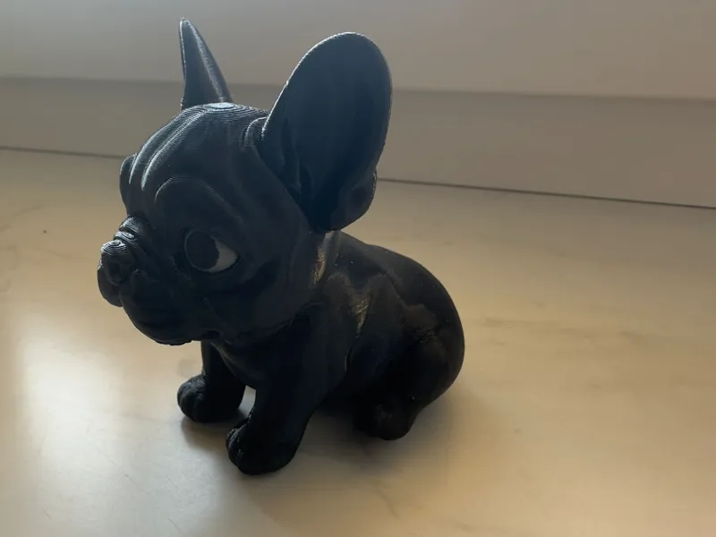 Frenchie Bulldogge 
