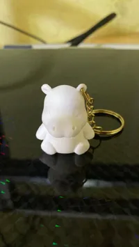 Keychain Version