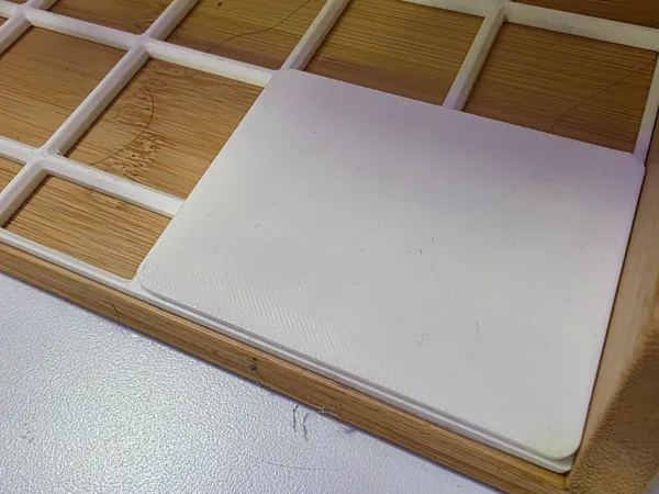 https://makerworld.bblmw.com/makerworld/model/USa3e99332163606/design/2025-08-19_4c59c3068b8218.jpg