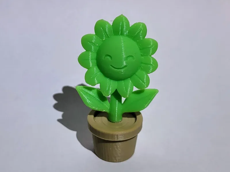 Cute flower | sunflower
