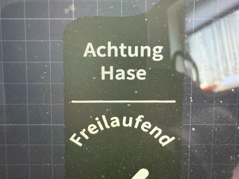 Freilaufender Hase