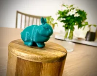 Petit lapin rondouillard — photo 2