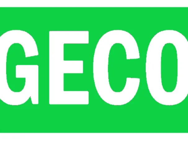 GECO STENCIL