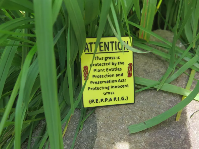 Protected Grass Prank