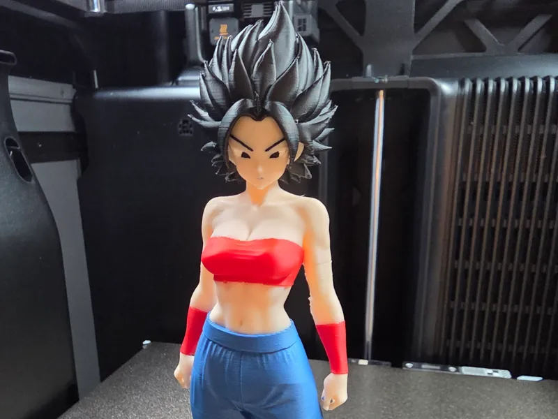 DBZ Caulifla