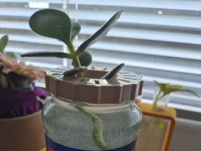 Planter Holder - Mason Jar Barilla, 52mm inside