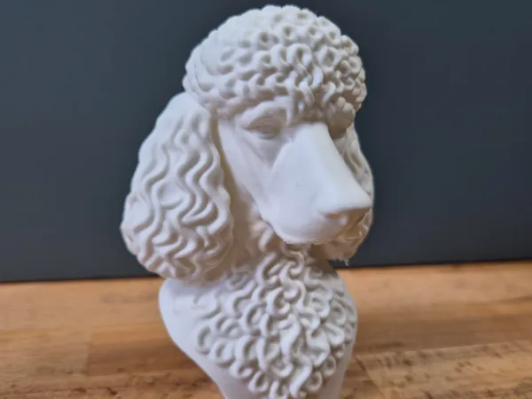 https://makerworld.bblmw.com/makerworld/model/USa40e2856035ef5/design/2025-05-14_a2c14c35c208f.jpg