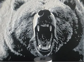 Grizzly Bear Art