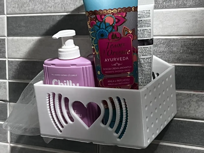 Shower Organizer with sucker or hook