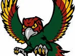 wayne firebird