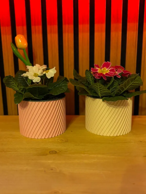 https://makerworld.bblmw.com/makerworld/model/USa41dff666535dc/design/2025-01-07_31b20c7ca09d.jpg