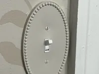 1-gang, single plate