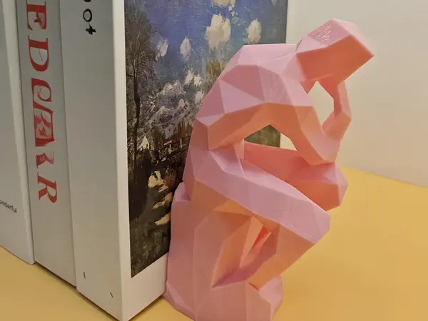 https://makerworld.bblmw.com/makerworld/model/USa42502ffdcd905/design/2025-04-28_867a18b95473e8.webp