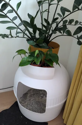Cat WC planter