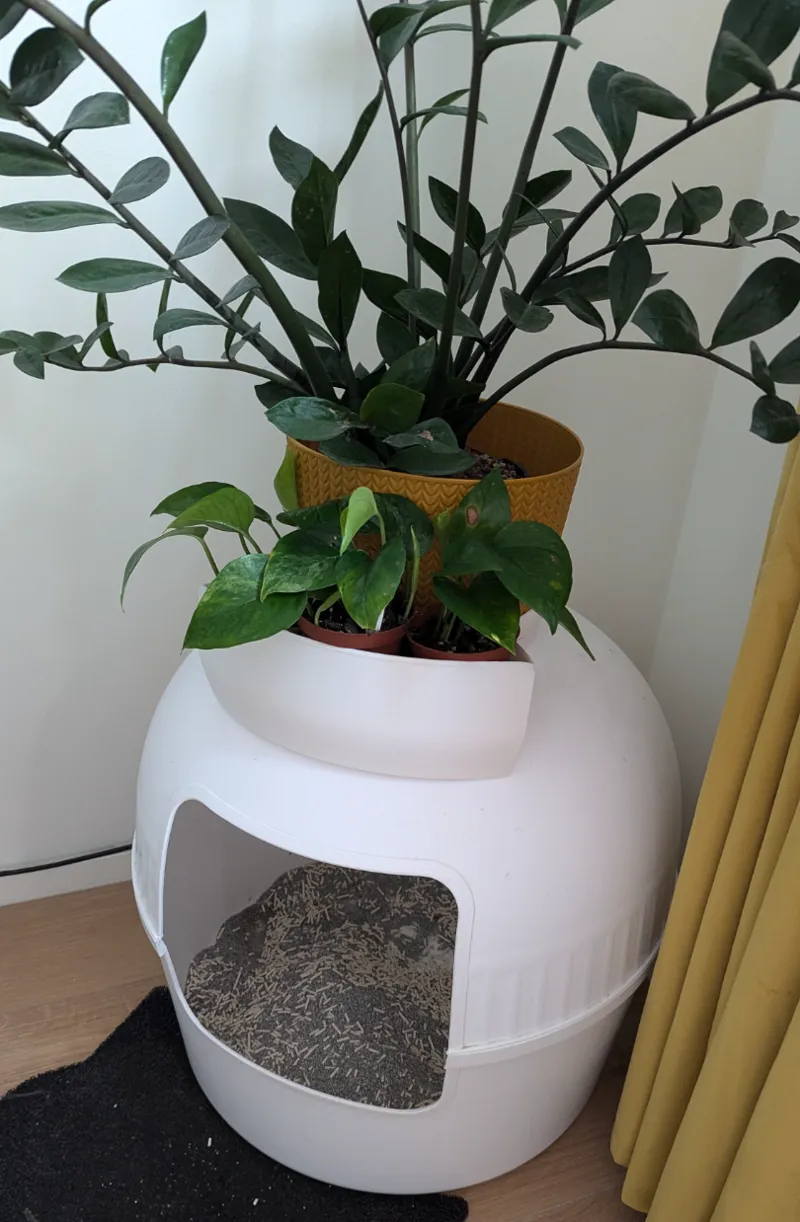 Cat WC planter