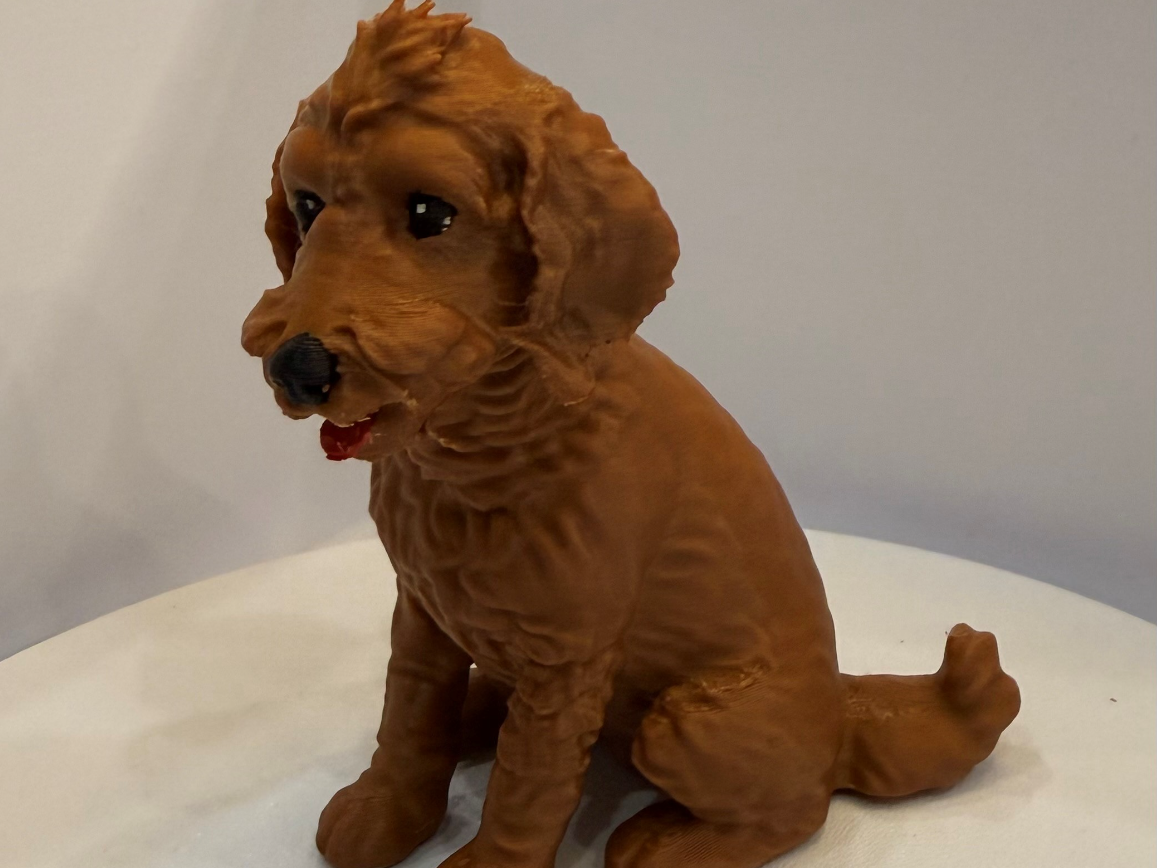 Golden Doodle Dog (Andrew)