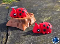 3 multicolors ladybug