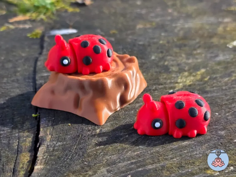 Cute flexi  Ladybird | Fidget 
