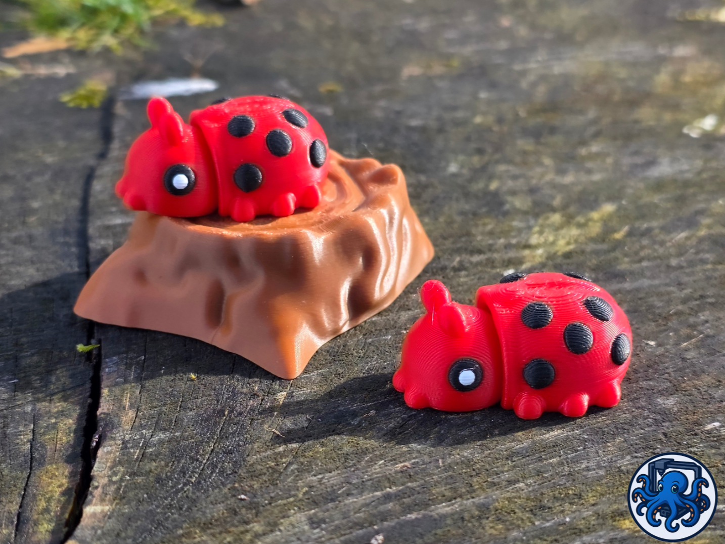 Cute flexi  Ladybird | Fidget 