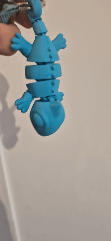 Flexi chameleon