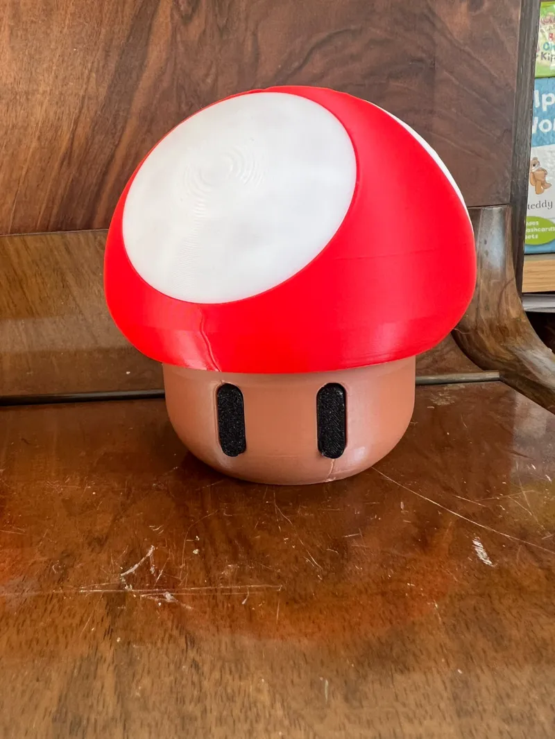 Mushroom Moneybox