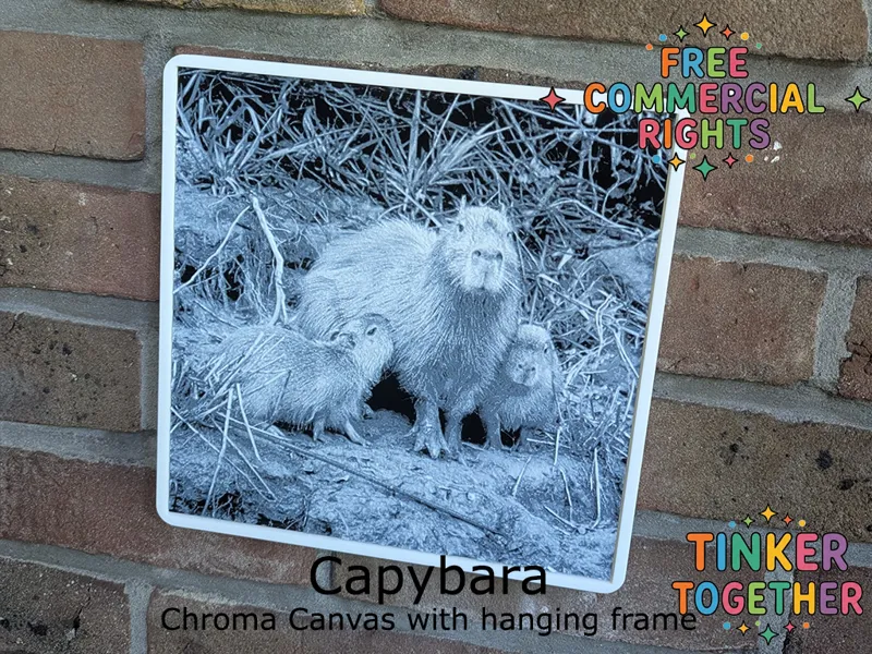 Capybara Chroma Canvas with hanging frame