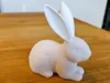 0.2mm layer, 3 walls, 10% infill