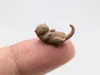 0.08mm layer, 2 walls, 15% infill