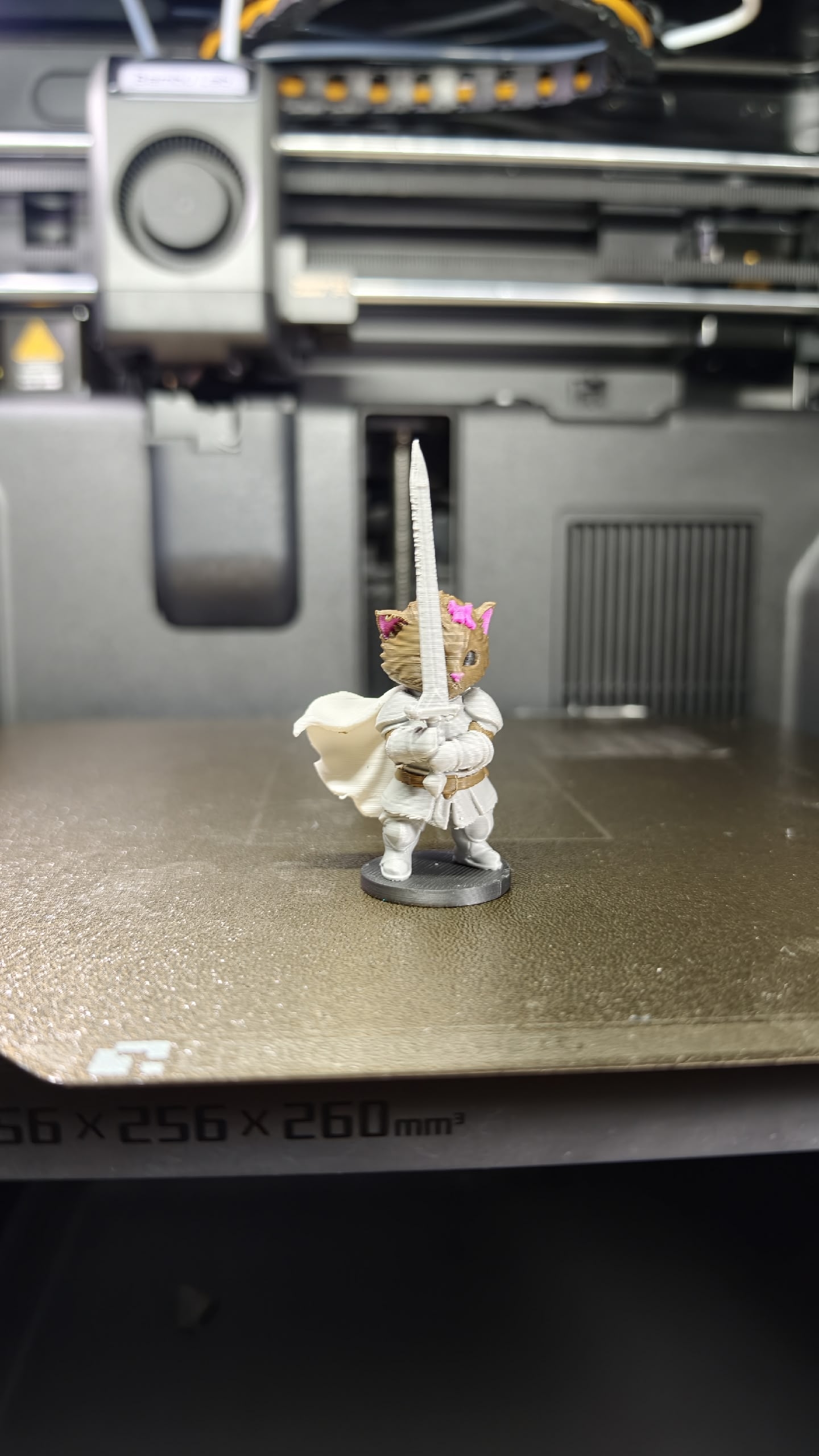 Knight Cat - 1
