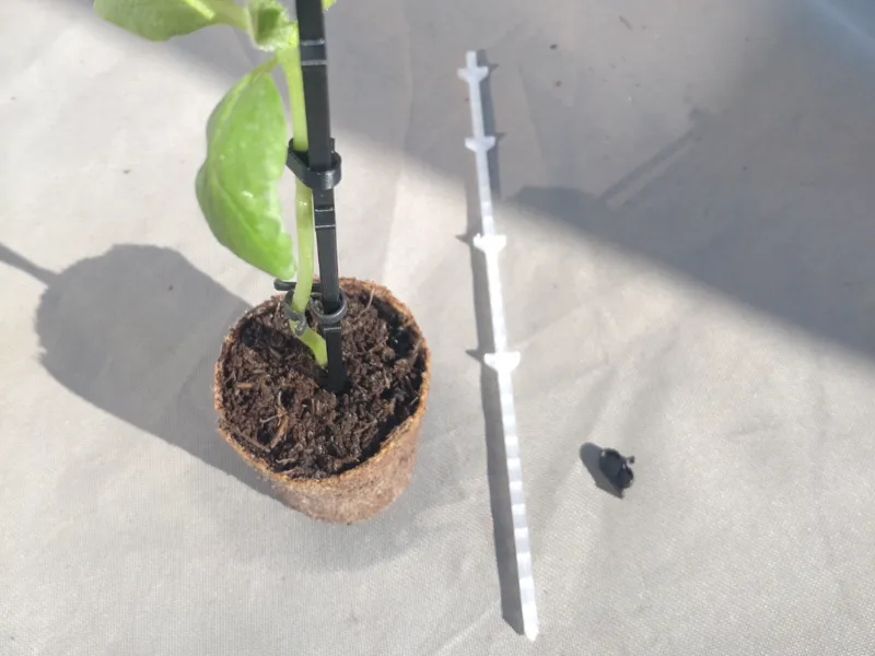 Support your seedlings