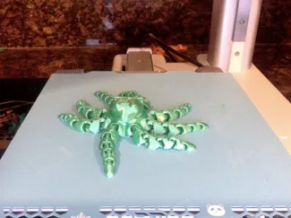 frogtopus