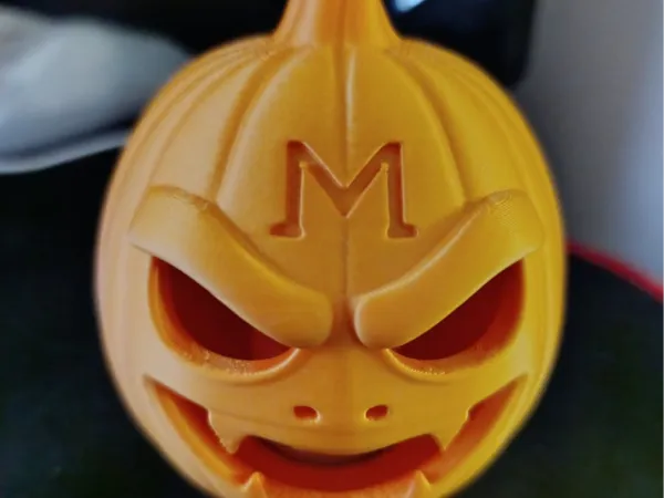 https://makerworld.bblmw.com/makerworld/model/USa456abe8996a2c/design/2025-09-14_42e7770dcc3928.jpg