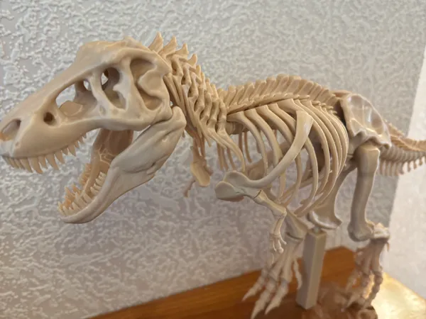 https://makerworld.bblmw.com/makerworld/model/USa45b18405b09f6/design/2024-12-28_97500bac4b4f9.jpg