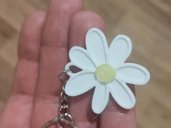 https://makerworld.bblmw.com/makerworld/model/USa45b97e38ed270/design/2024-09-12_0ede5c5d6b1e6.webp