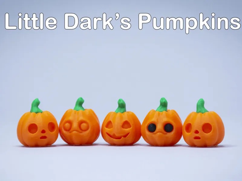 Little Dark's Pumpkin to hold in her hands