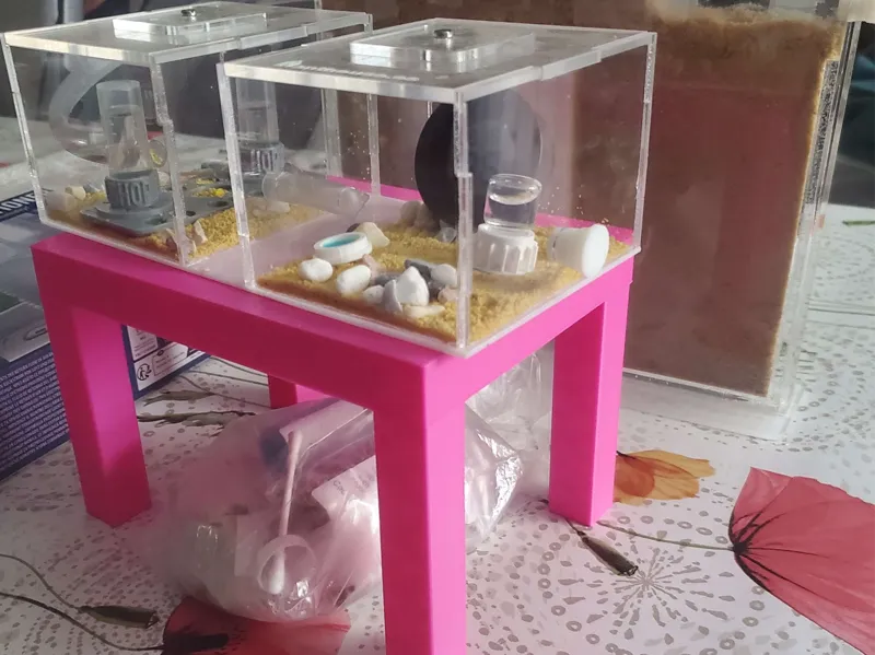 Just a table of 11×13×18 for my ants