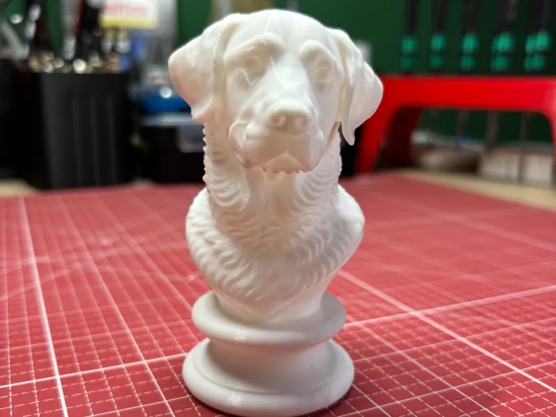 Labrador Büste Hund